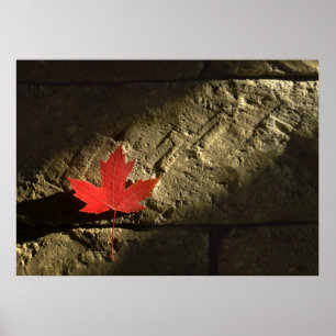 Poster Folha de bordo de Canadá