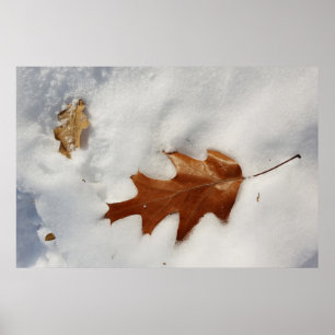 Poster folha de carvalho na neve