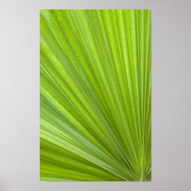 Poster Folha de Palmeira Tropical Verde Abstrata (Frente)