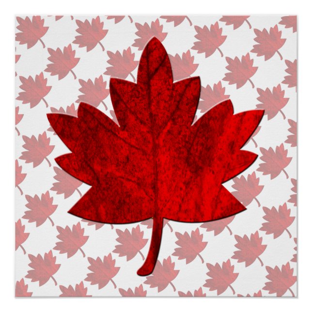Pôster Folha do Canadá-Bordo (Frente)