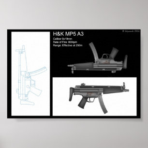 Pôster Folha do Stat MP5