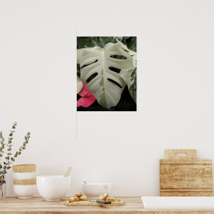 Poster Folha Floral de Monstera Variegada
