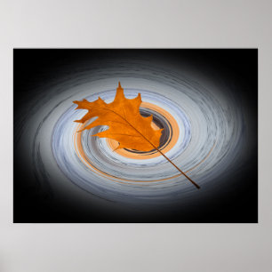 Pôster Folha flutuante