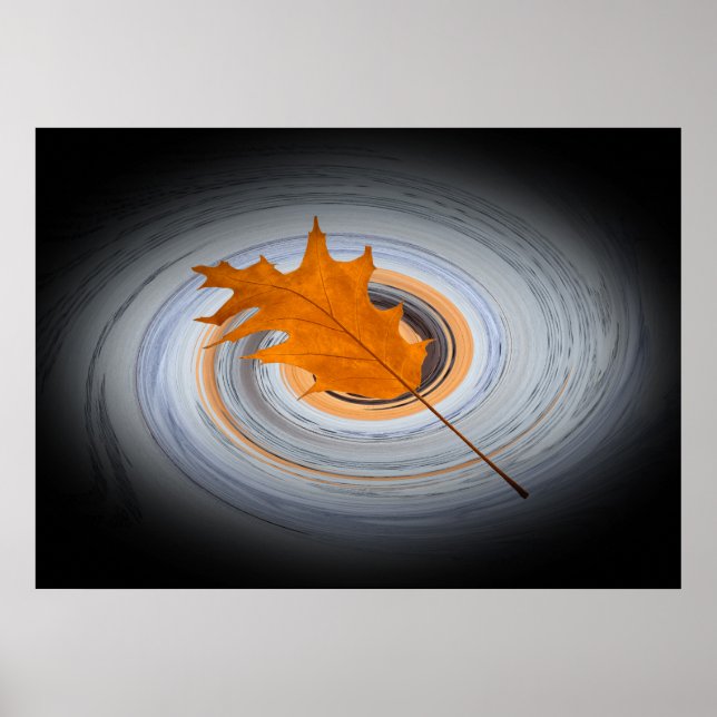 Pôster Folha flutuante (Frente)