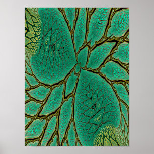 Poster Folha Fractal do Dragão Azul-Verde Abstrato com Fo