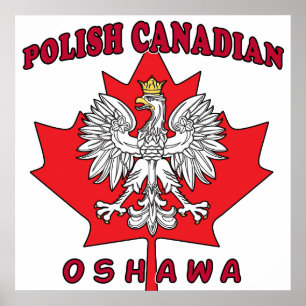 Pôster Folha Polonesa Canadense de Oshawa