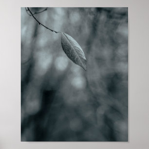 Poster Folha Única em um Ramo Fino em Monocromo Fresco