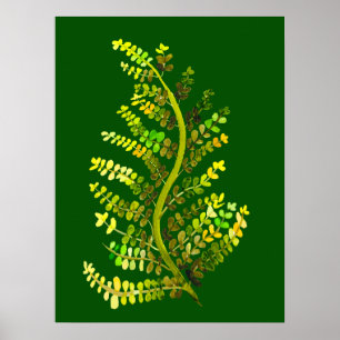 Poster Folha verde