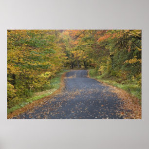 Pôster Folhagem de estrada, Southern Vermont, EUA