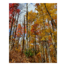 Folhagem do Parque Nacional das Montanhas do Enfum