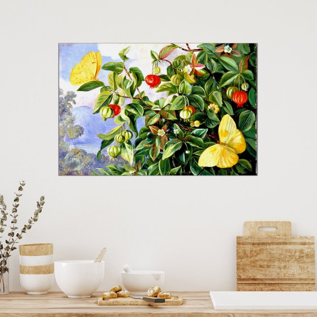 Poster Folhagem, Flores e Frutas de Pitanga, Jamaica (Cozinha)