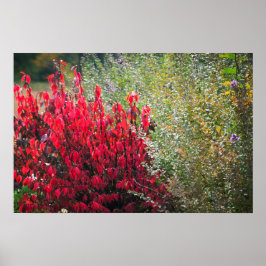 Poster Folhagem Vermelha e Verde