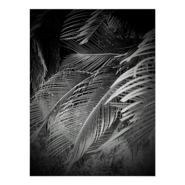 Pôster Folhas (Frente)