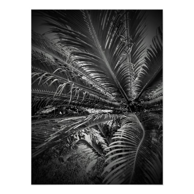 Pôster Folhas (Frente)