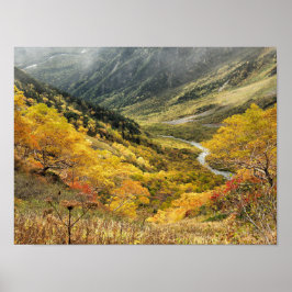 Poster Folhas amarelas naturais do outono