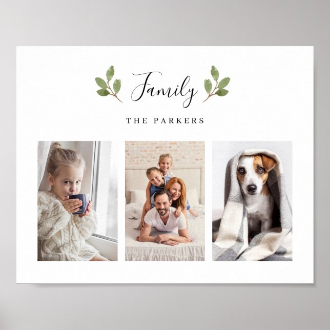 Poster Folhas Botânicas | Três famílias de fotos (Frente)