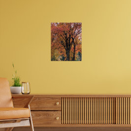 Poster Folhas Coloridas de Outono Fotográficas
