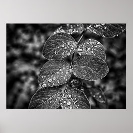 Pôster Folhas com estilos de filme