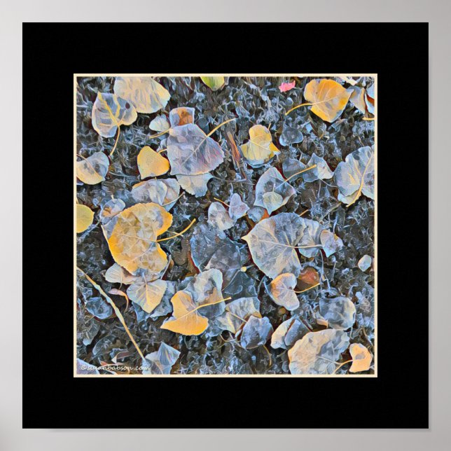 Poster Folhas Congeladas (Frente)