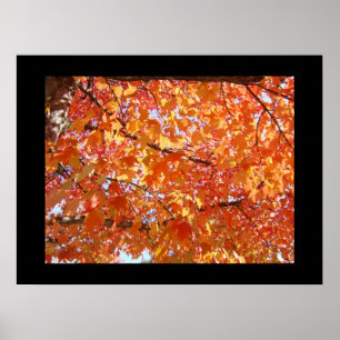 Poster Folhas de Arte Coloridas Laranja de Quadro Negro
