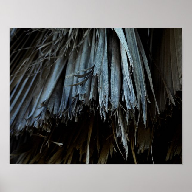 Pôster Folhas de Árvore Palm (Frente)