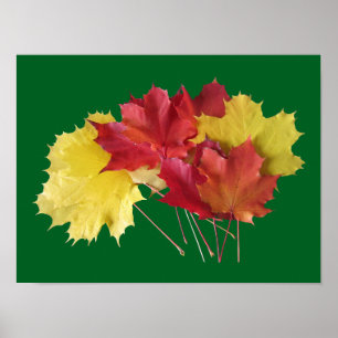 Poster Folhas de Bordo