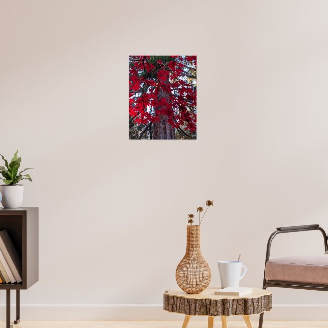 Poster Folhas de Bordo Vermelhas e Sequóia Gigante (Sala de Estar 3)