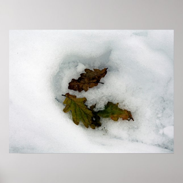 Poster Folhas de carvalho na tela do cartão de feriado pa (Frente)