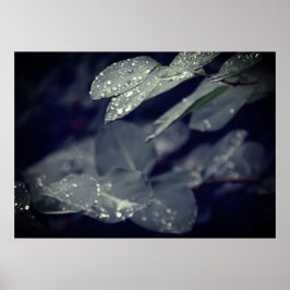 Poster Folhas de chuva verde-escura