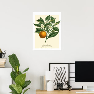 Poster Folhas de Flor de Fruta Laranja Vintage