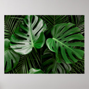 Poster Folhas de monstera verde e palmeiras