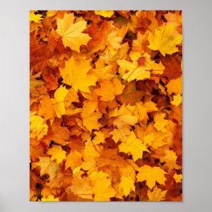 Poster Folhas de outono