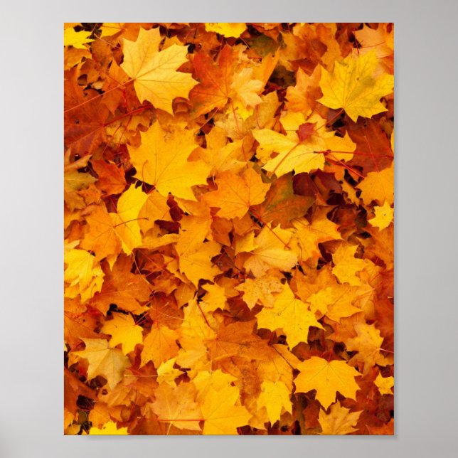 Poster Folhas de outono (Frente)