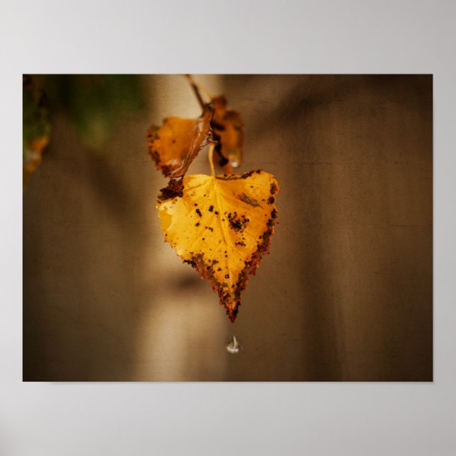 Poster Folhas de outono (Frente)