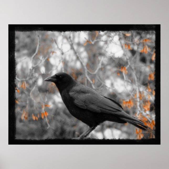 Pôster Folhas de outono (Frente)