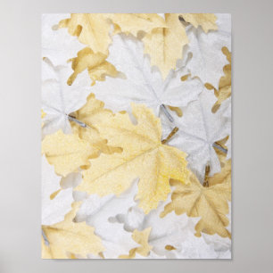 Poster Folhas de outono