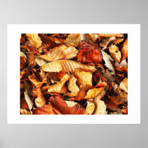 Poster Folhas de outono