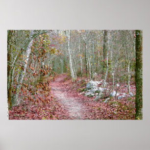 Poster Folhas de Outono Cor-de-Rosa Trilha Goat Rock Arka