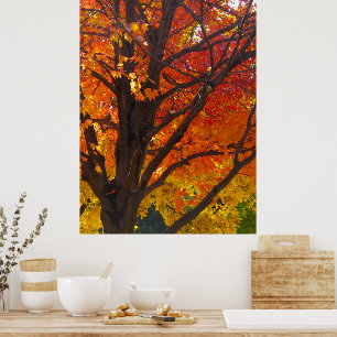 Poster Folhas de Outono de Amarelo e Laranja, Vertical ZS