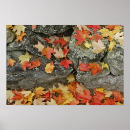 Pôster Folhas de outono na parede de pedra, Homem Minuto