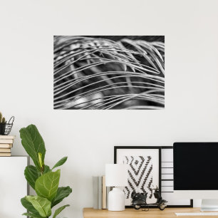Poster Folhas de palmeira bonitas