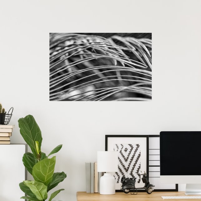 Poster Folhas de palmeira bonitas (Escritório em casa)