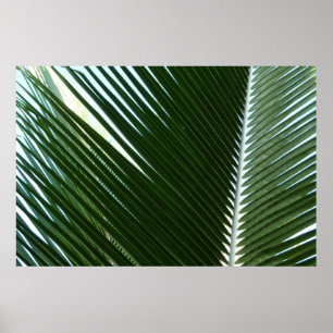 Pôster Folhas de Palmeira Sobrepostas Verde Tropical Abst