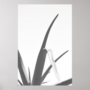 Poster Folhas de Planta do Alojamento Branco preto monocr