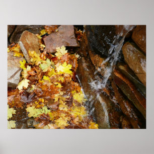 Poster Folhas de queda na natureza das cascata III outono