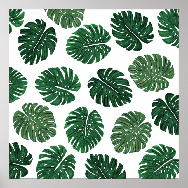 Pôster Folhas de Queijo Suíço Pintadas à Mão Tropical (Frente)