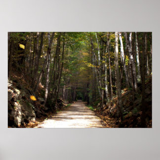 Pôster Folhas de Tumbing