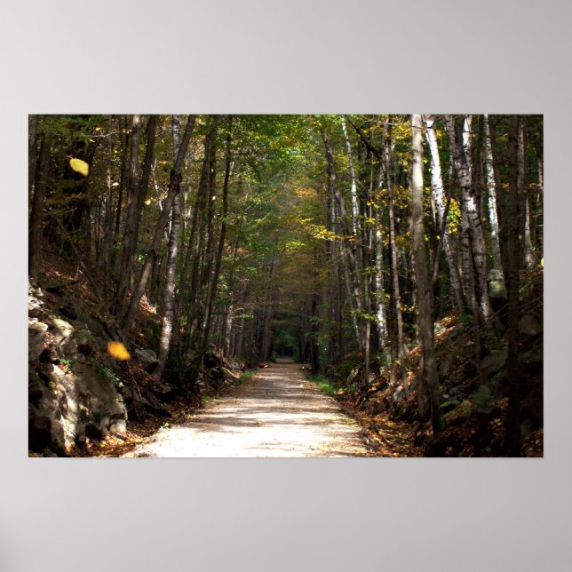 Pôster Folhas de Tumbing (Frente)