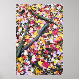 Poster Folhas do outono no chão