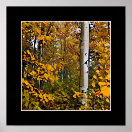 Pôster Folhas Douradas